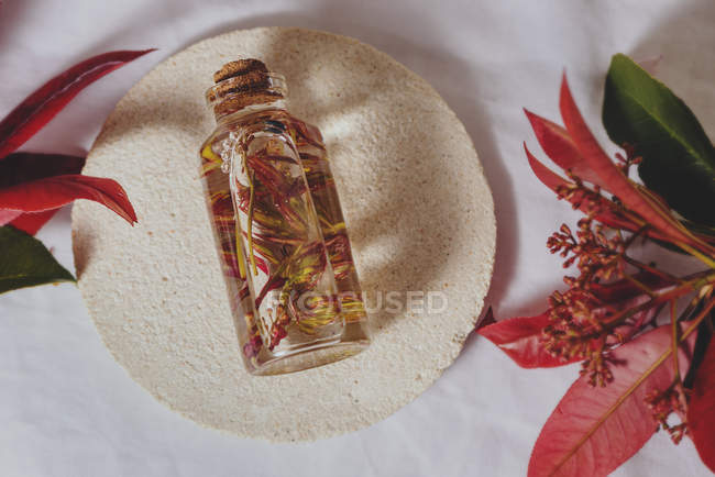 Garrafa com planta fresca em líquido entre em placa branca com plantas vermelhas — Fotografia de Stock