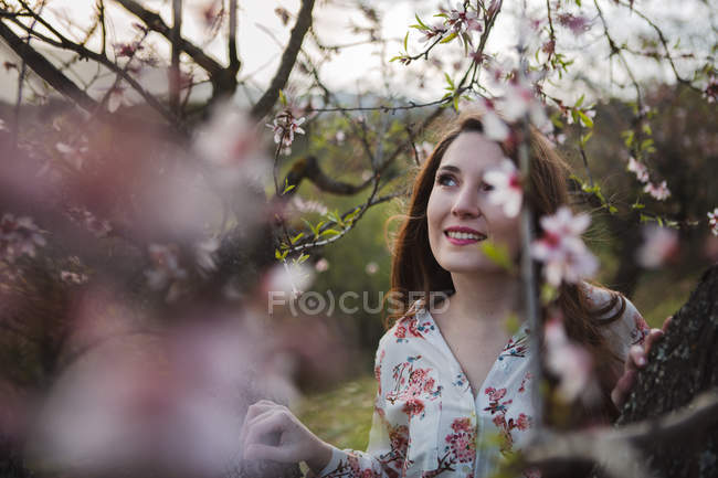 Вид сквозь клумбы цветущего фруктового дерева привлекательной жизнерадостной дамы, глядящей в сад — стоковое фото