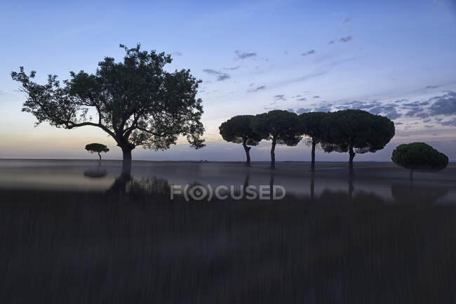 Hermoso paisaje pictórico de árboles y arbustos desenfocados en valle seco contra el cielo del atardecer, España - foto de stock