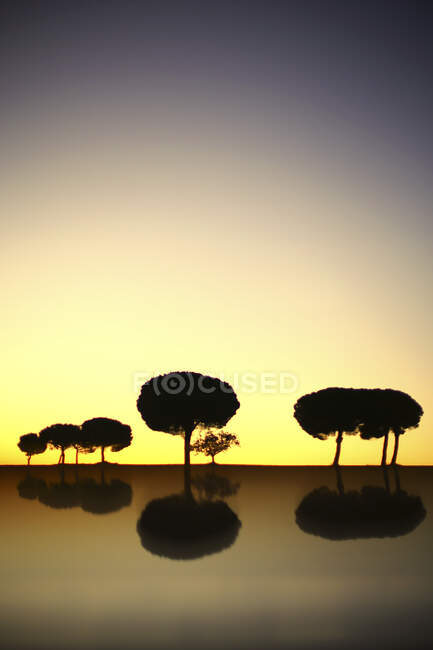 Hermosa vista de la silueta de árboles en valle salvaje contra cielo colorido del atardecer, Villafafila - foto de stock