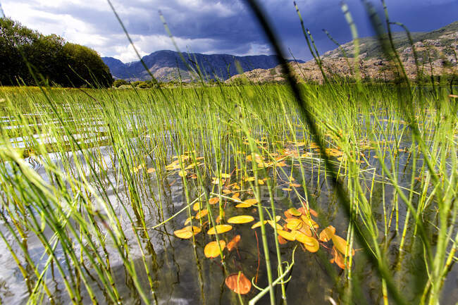 Belle vue sur pelouse sur fond de lac isolé et de montagnes sous un ciel sombre, Villafafila — Photo de stock
