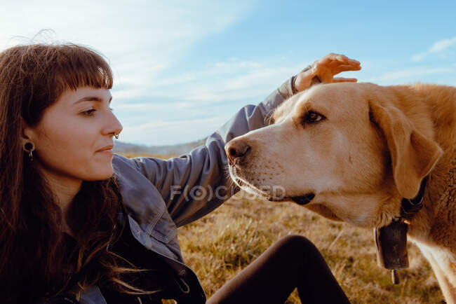 Vue latérale de jeune hipster caressant chien drôle entre prairie et ciel bleu — Photo de stock
