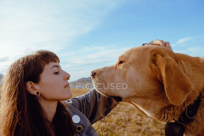 Vista lateral do jovem hipster acariciando cachorro engraçado entre o prado e o céu azul — Fotografia de Stock