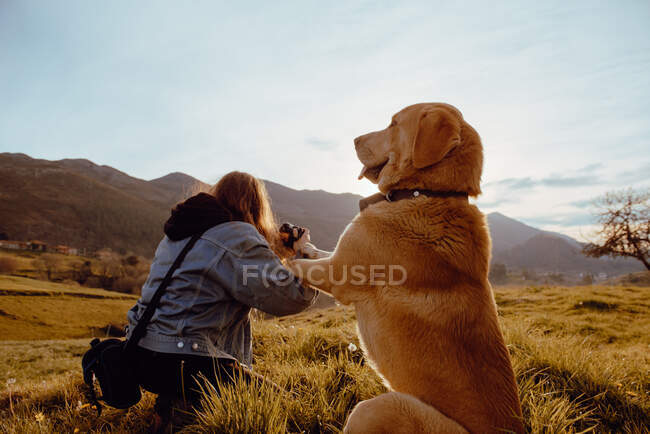 Vista posterior de la joven mujer disparando paisaje en la cámara cerca de perro divertido y amable entre el prado y el cielo azul - foto de stock