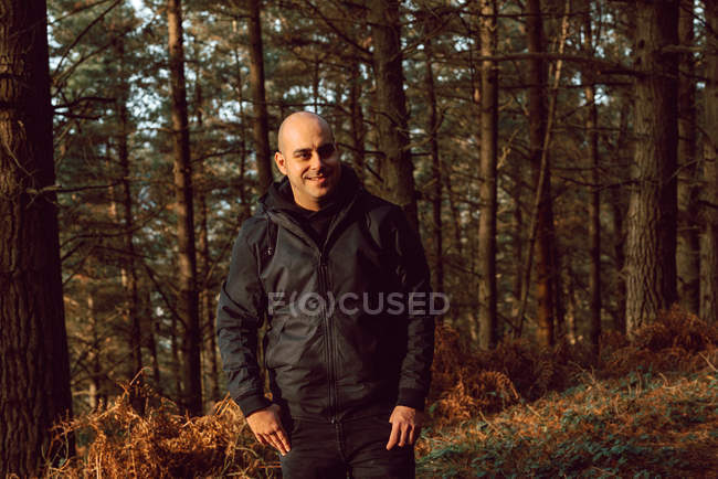 Hombre calvo feliz en ropa casual mirando hacia otro lado en el bosque de coníferas - foto de stock