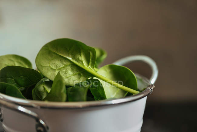 Fresh spinach leaves in white metal bowl — Stock Photo