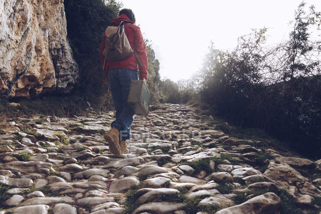 Rückansicht einer lässigen Frau, die einen Koffer trägt und auf Felsen mit klarem Wasserstrom in der Natur spaziert — Stockfoto