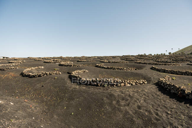 Meraviglioso terreno pietroso nella giornata di sole — Foto stock