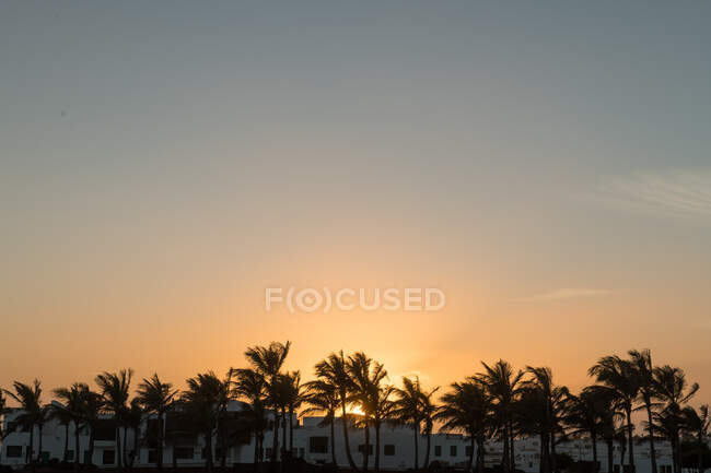 Vue majestueuse du magnifique lever du soleil sur les bâtiments modernes et les palmiers le matin dans une petite ville — Photo de stock