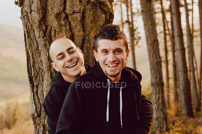Веселая гомосексуальная пара обнимается и смотрит в камеру возле дерева в лесу и живописный вид на долину — стоковое фото