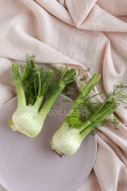 Bulbos de erva-doce frescos saudáveis orgânicos na placa no tecido bege — Fotografia de Stock