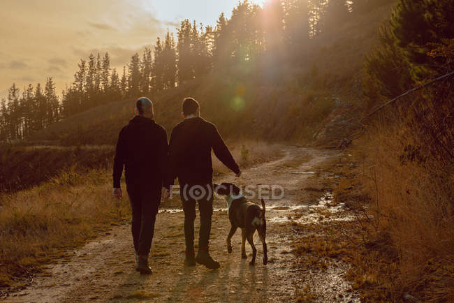 Visão traseira do casal homossexual de mãos dadas e andando com o cão no caminho na colina no dia ensolarado — Fotografia de Stock