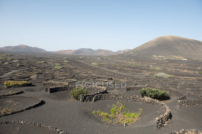 Wonderful stony terrain on sunny day — Stock Photo