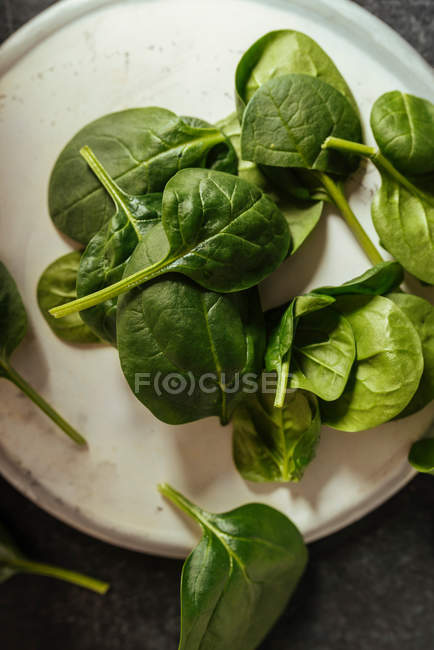 Fresh spinach leaves on white surface — Stock Photo