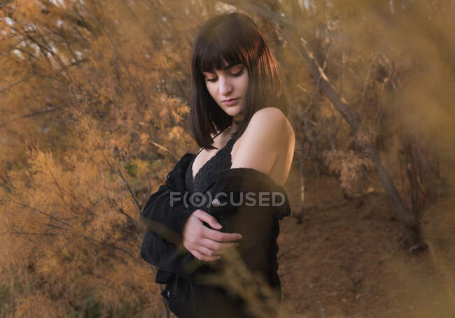 Vista lateral de la hermosa mujer joven manteniendo los ojos cerrados y abrazándose mientras está de pie cerca de los arbustos en maravilloso día de otoño en el campo - foto de stock