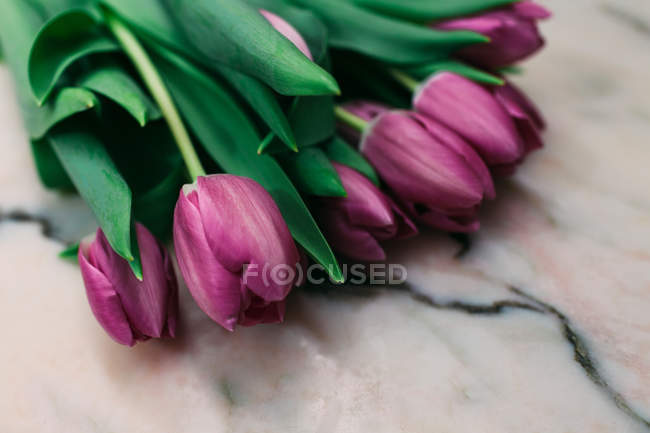 Bouquet of fresh pink tulips on marble surface — Stock Photo