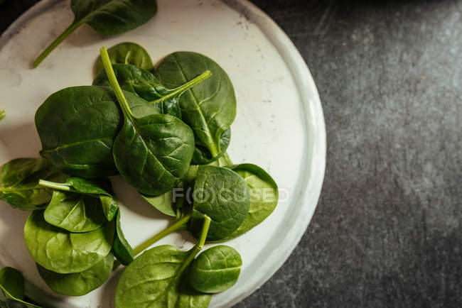 Hojas de espinacas frescas en placa blanca sobre superficie gris - foto de stock
