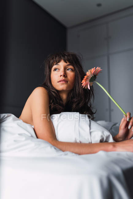 Young attractive woman with fresh flower looking away and resting on bed in bedroom — Stock Photo
