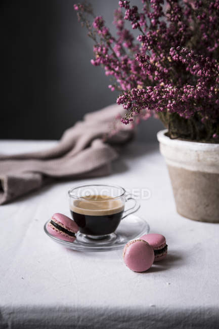 Taza de espresso con macarrones - foto de stock