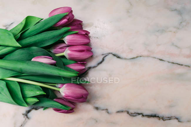 Букет свіжих рожевих тюльпанів на мармуровій поверхні — стокове фото