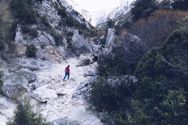 De cima vista traseira da mulher caminhando entre montanhas rochosas com plantas verdes — Fotografia de Stock