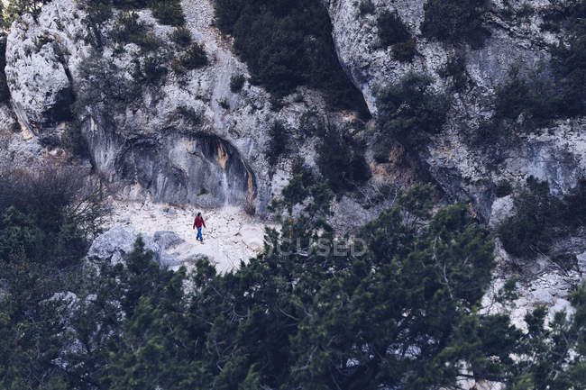 Dall'alto vista posteriore della donna escursioni tra montagne rocciose con piante verdi — Foto stock