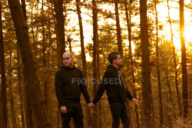 Гомосексуальные пары держатся за руки и идут по пути в лес — стоковое фото