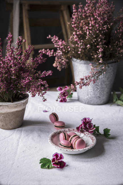 Macarons sucrés sur assiette sur table avec des fleurs — Photo de stock