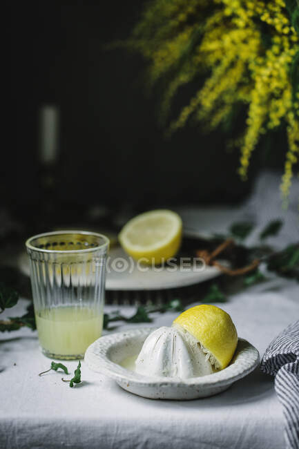 Presseur et moitié de citron au verre avec jus frais sur la table — Photo de stock