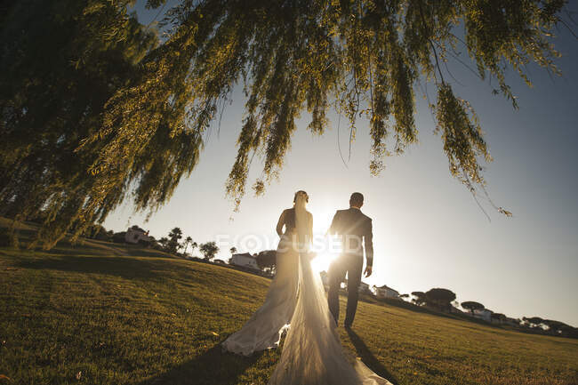 Vista trasera de los recién casados tomados de la mano en el parque cerca de árboles y casas - foto de stock