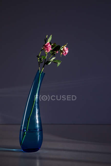 Fleurs roses dans un vase en verre élégant sur fond gris foncé — Photo de stock