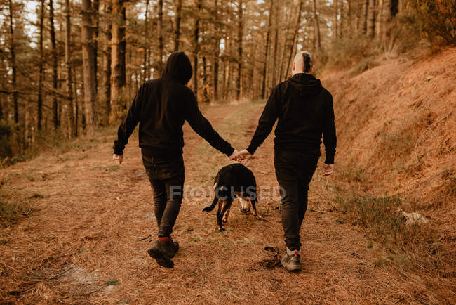 Back view of homosexual couple holding hands and walking with dog on way on hill in sunny day — Stock Photo