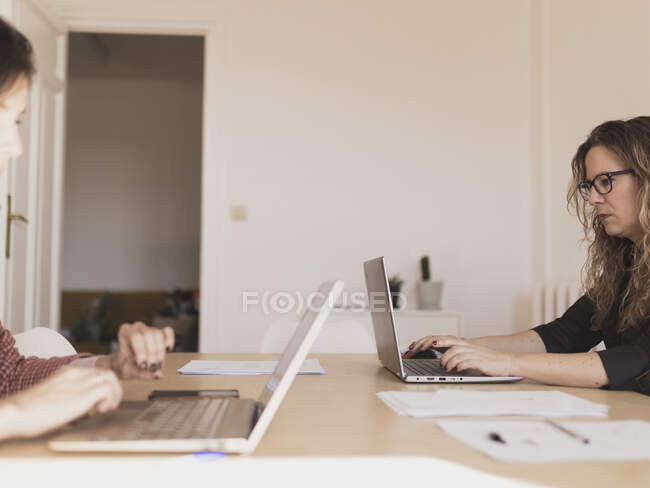 Концентровані юні леді, які переглядають ноутбуки і сидять за столом в офісі — стокове фото