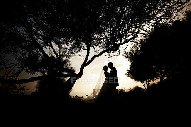 Vista lateral de los recién casados abrazándose en el parque cerca de los árboles por la noche - foto de stock