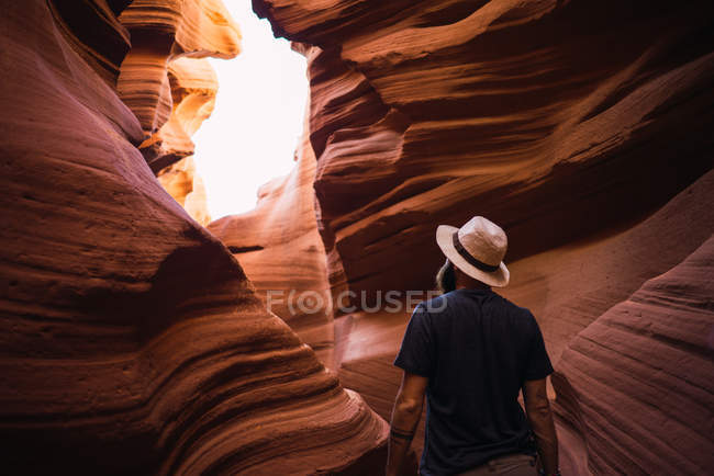 На задньому плані зображений бородатий самець, який оглядає дивовижні стіни ущелини під час подорожі західним узбережжям Уси. — стокове фото