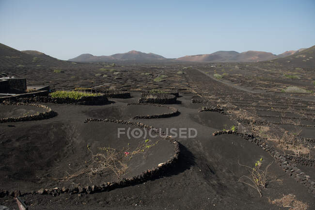 Vista pitoresca de círculos de pedra no chão cinza no dia ensolarado no campo majestoso — Fotografia de Stock