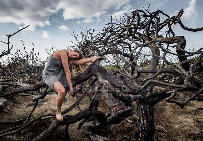 Bailarina joven en ropa gris con la pierna estirada posando sobre ramas de bosques secos - foto de stock