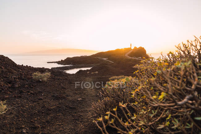 Costa rocciosa con strada e faro vicino al mare in serata a Tenerife, Isole Canarie, Spagna — Foto stock