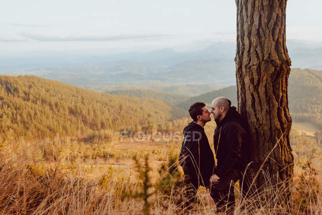 Alegre pareja homosexual de pie y mirándose el uno al otro cerca del árbol en las montañas - foto de stock