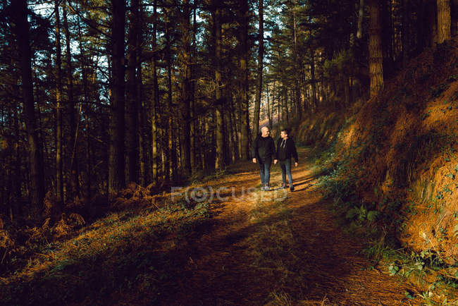 Homosexual couple holding hands and walking on way in dark forest in sunny day — Stock Photo