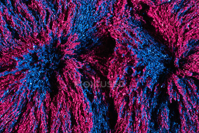 Textured background of majestic ferrofluid illuminated with pink and blue neon light — Stock Photo