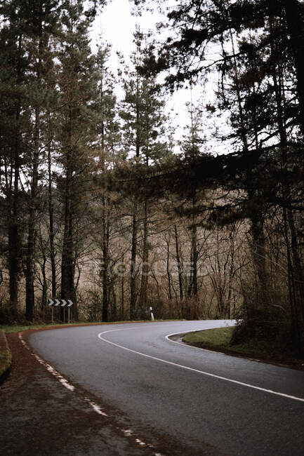 Strada asfaltata stretta che attraversa una meravigliosa foresta con alberi di conifera in campagna maestosa — Foto stock