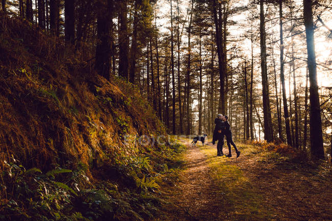 Side view of homosexual couple embracing and kissing near dog on route in forest in sunny day — Stock Photo