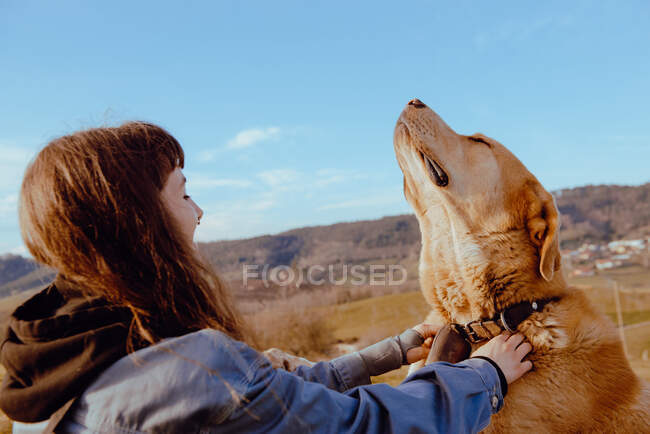 Дивлячись на молодого бегемота, який погладив кумедного собаку між лугом і синім небом. — стокове фото