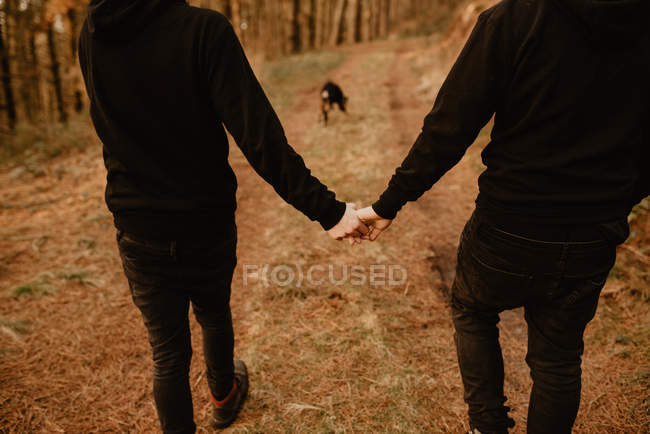 Обратный вид на урожай гомосексуальной пары, держащейся за руки и идущей по пути в лес с собакой — стоковое фото