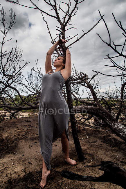 Young ballerina in grey posing on branches of dry woods — Stock Photo