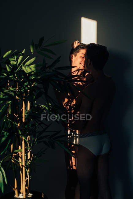 Elegante sin camisa desnuda pareja gay modelos abrazos y besos cada uno,  mientras que de pie cerca de una planta con luz de sombra — MALO, Estilo -  Stock Photo | #255862090