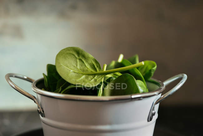 Свіже листя шпинату в металевому білому відрі на розмитому фоні — стокове фото