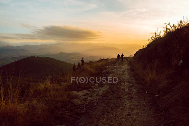 Вид на далекую гомосексуальную пару, держащуюся за руки и идущую с собакой по дороге на холм в солнечный день — стоковое фото