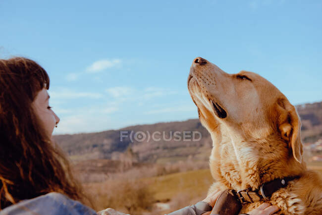 Vista lateral do jovem hipster acariciando cachorro engraçado entre o prado e o céu azul — Fotografia de Stock